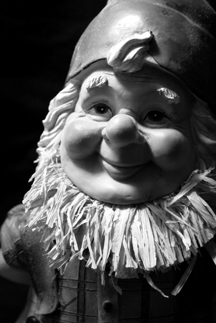 Gnome Portrait 3