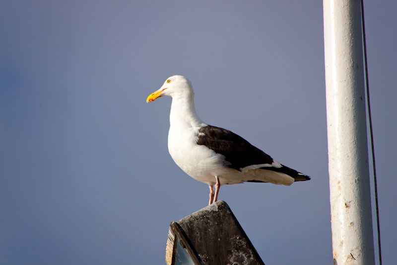 IMG_8153 IMG_8153