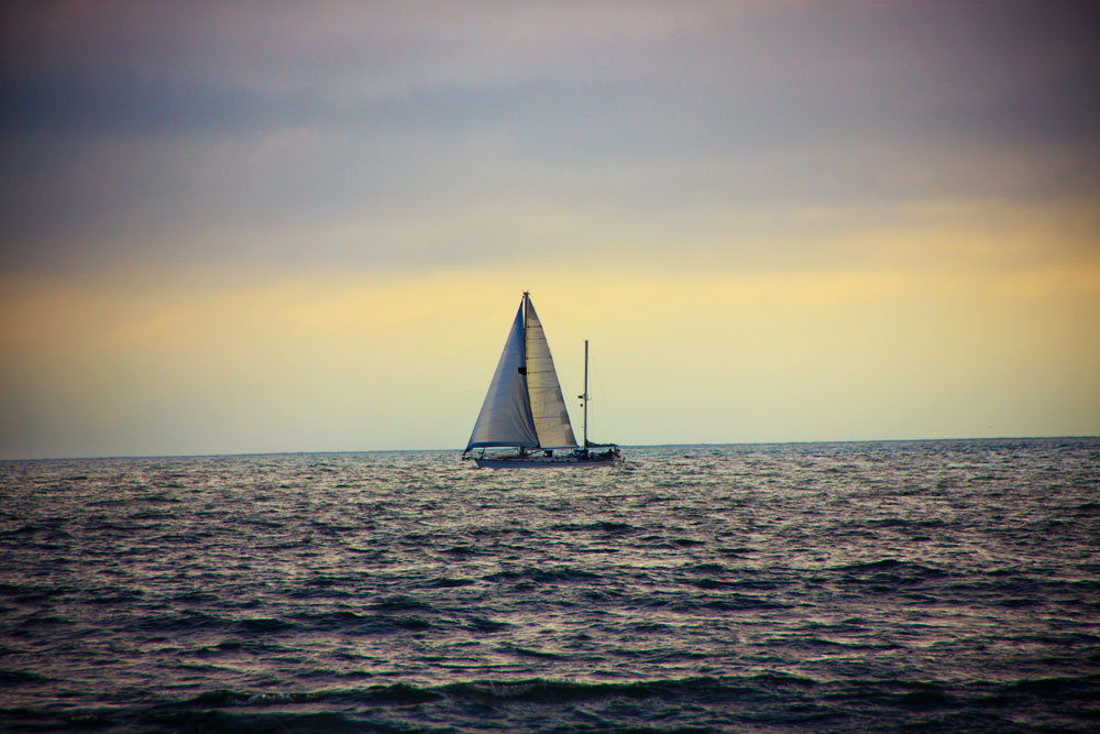 IMG_8177 IMG_8177