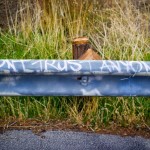 kalebnation-2011-1